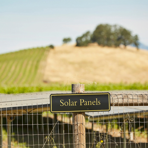 Honig Vineyard & Winery – Solar Energy