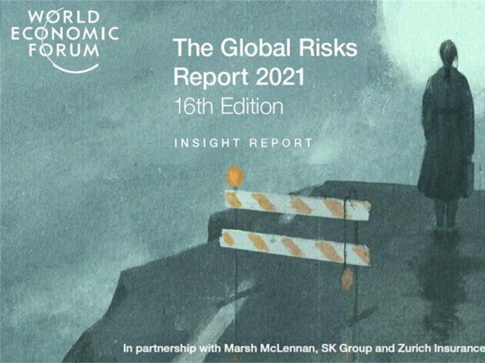 The Global Risks Report 2021