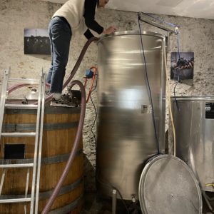 Woman working in Wine Cellars