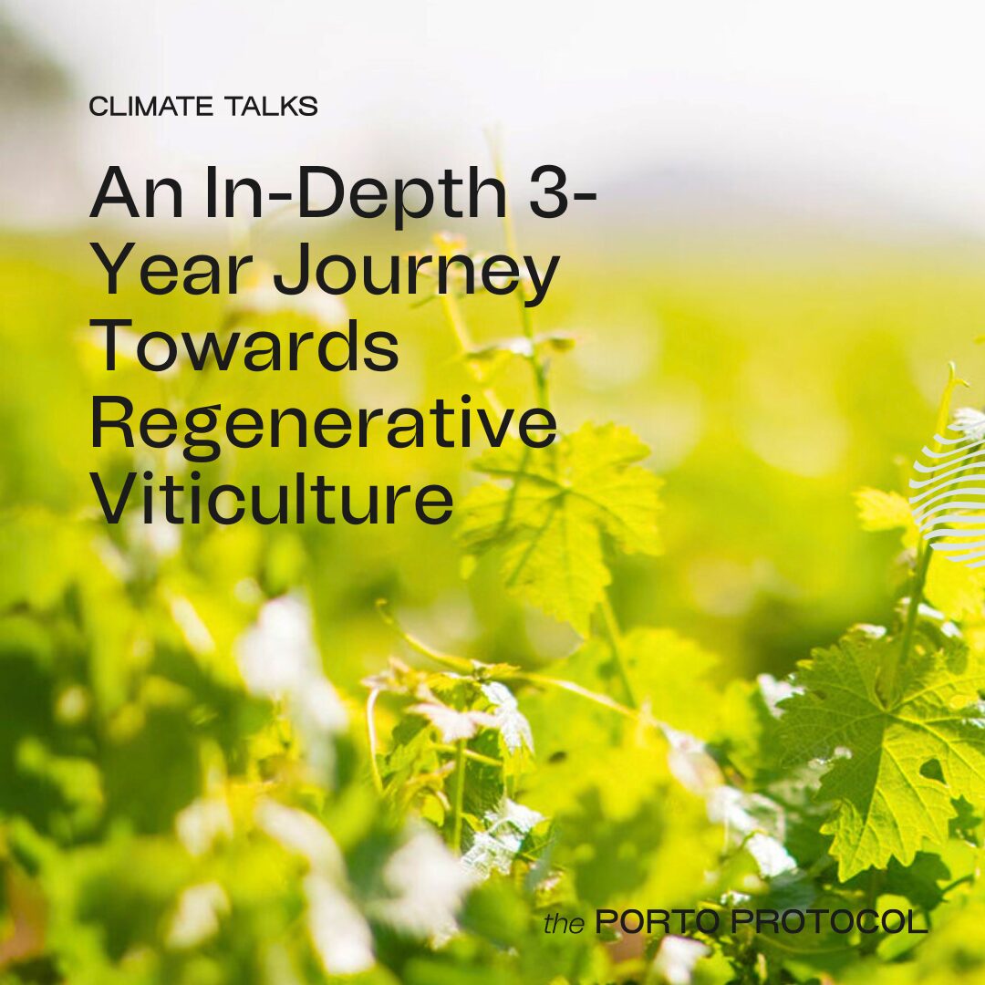 An In-Depth 3-Year Journey Towards Regenerative Viticulture