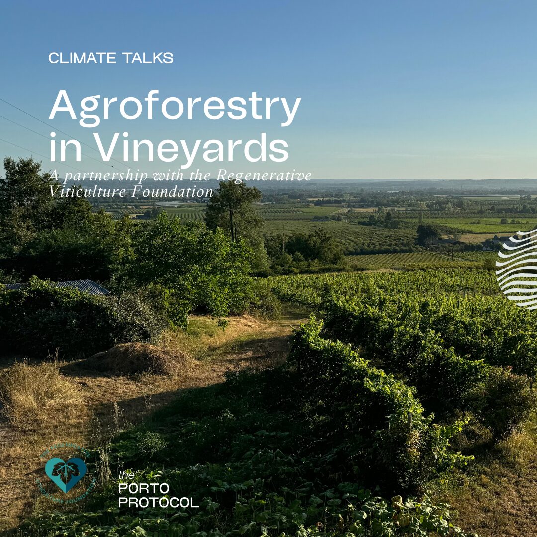 Agroforestry in Vineyards: Alain Canet, Caro Feely, juliette Combe and Ted Lemon