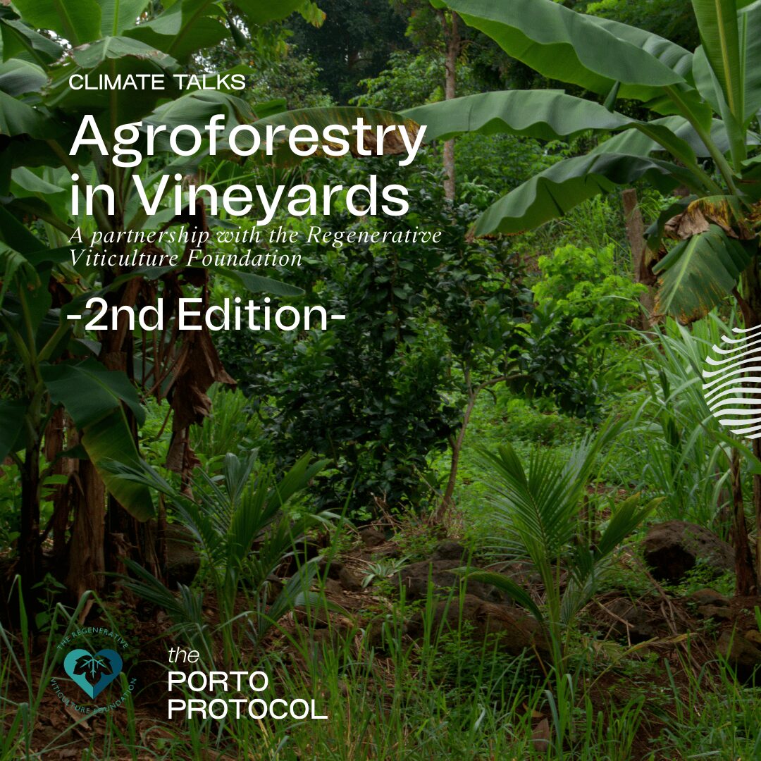 Agroforestry in Vineyards_2nd Edition: Emmanuel Bourguignon; Katia Nussbaum; Olga Barbosa, Anne Jones