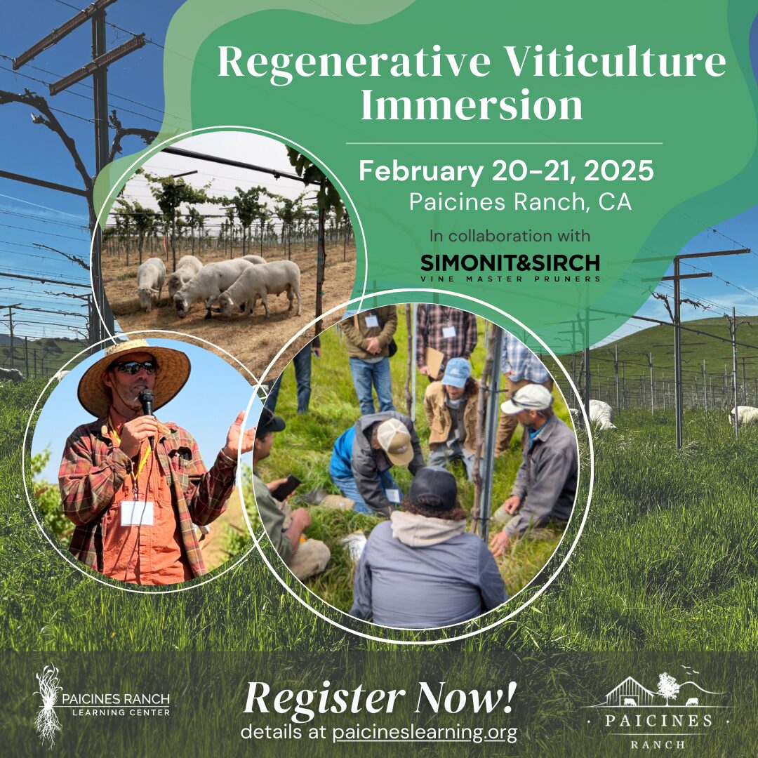 Regenerative Viticulture Immersion, February 20-21 at Paicines Ranch.