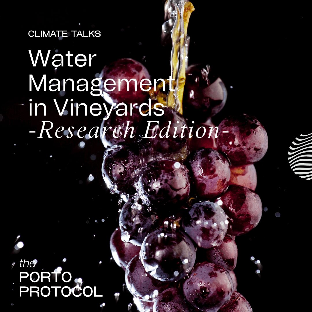 Water in Vineyards - Research Edition: Hervé Quénol, Kees Van Leeuwen, Helena Manuel and Jihany Brecci